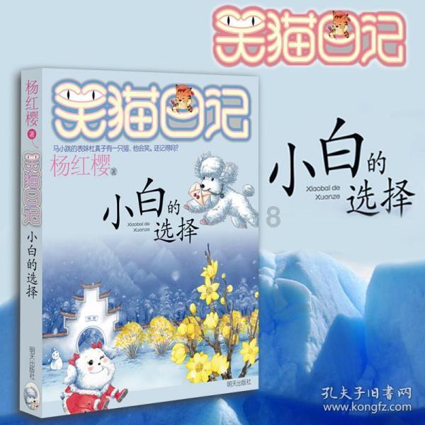 澳门中央证券托管各类债券规模近950亿澳门元