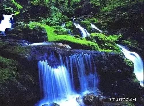 多囊卵巢与排卵,其中关系你知道吗?